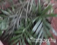 A növény öntözése - xtube porn video - peachypee.mp4
