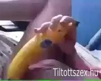 Tini baszik a banánnal